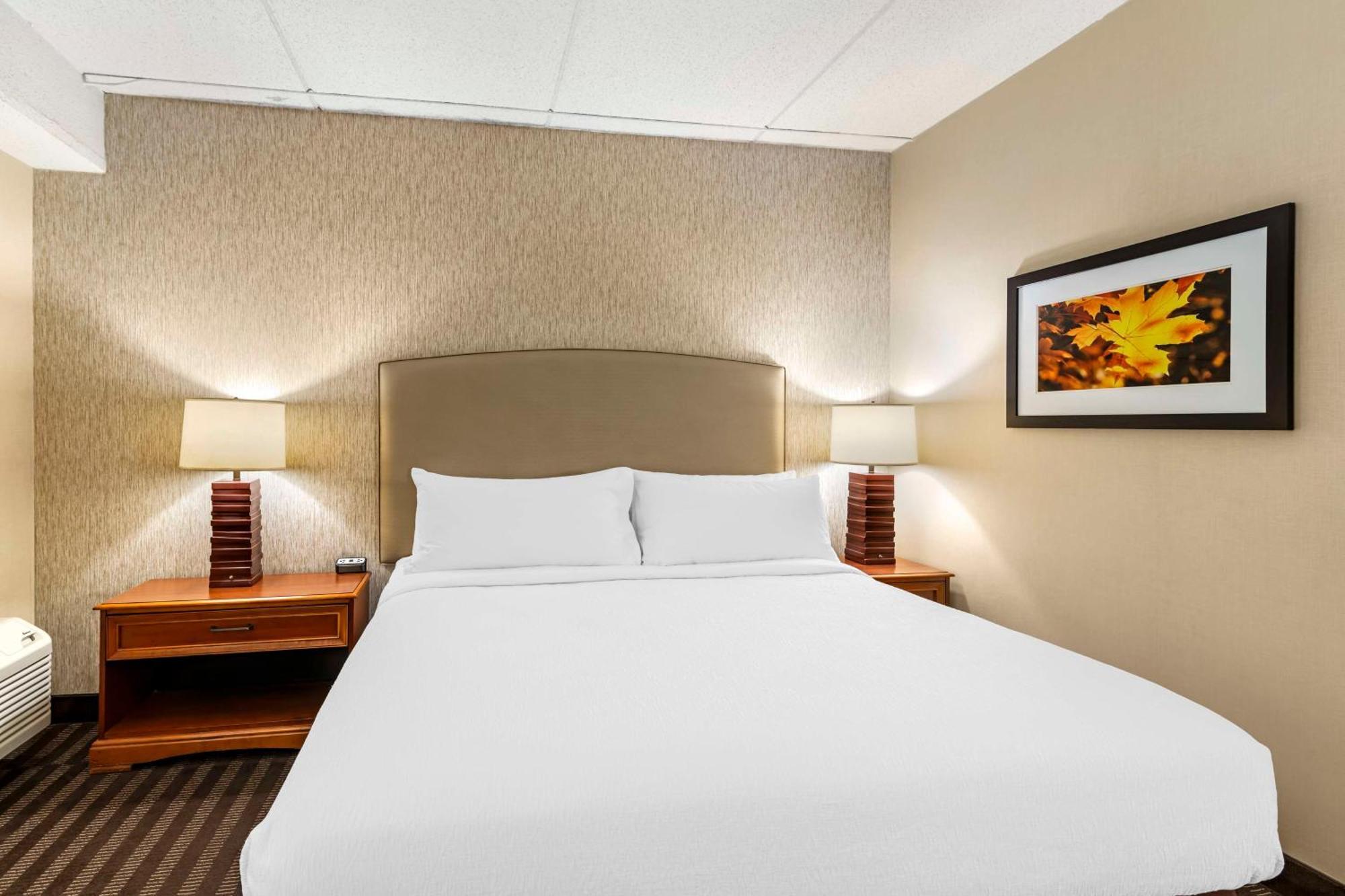 Best Western Springfield Hotel Zewnętrze zdjęcie